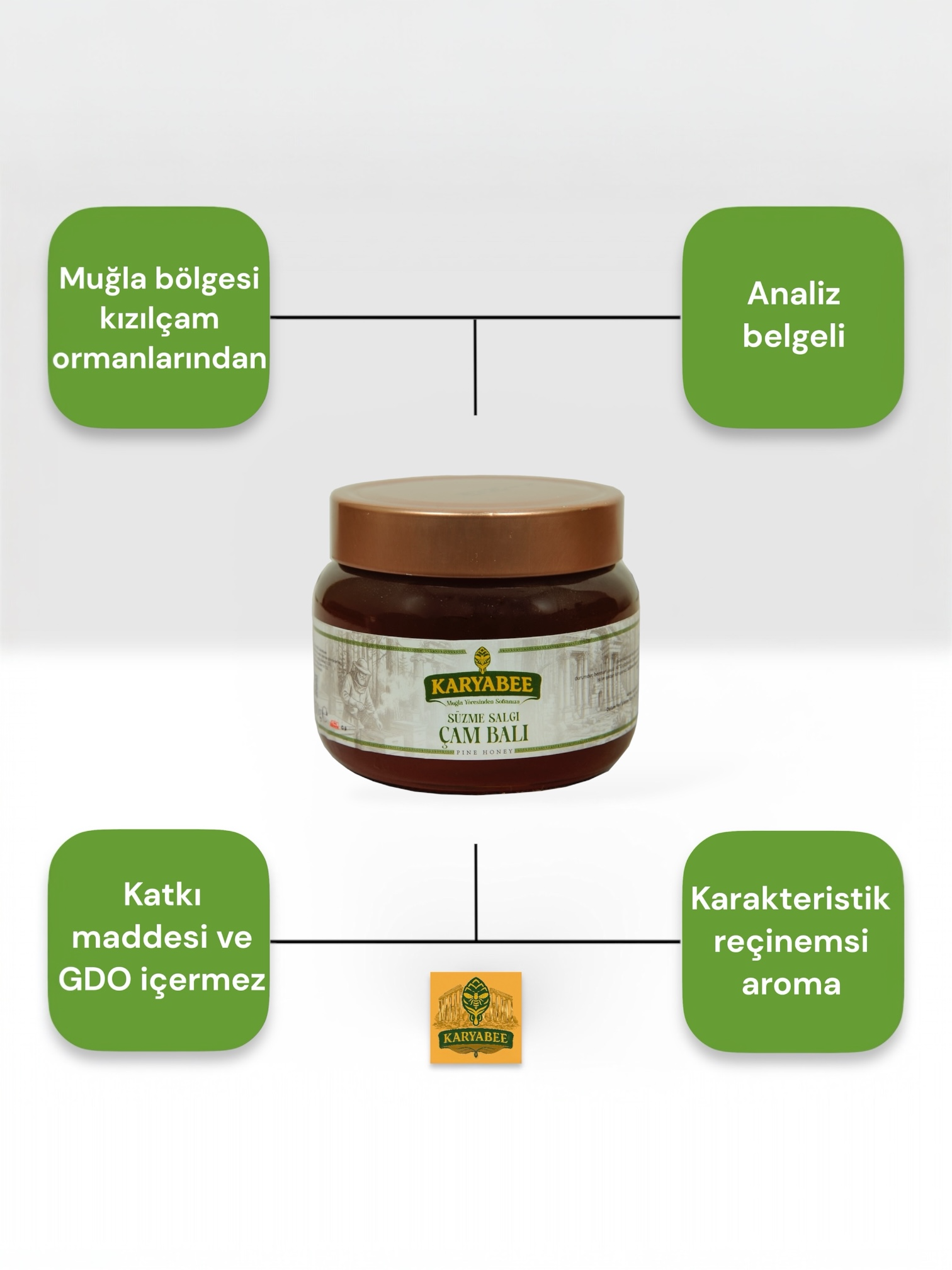 Süzme Çam Balı - 450 gr